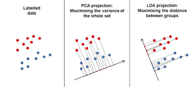 Introduction to Dimensionality Reduction