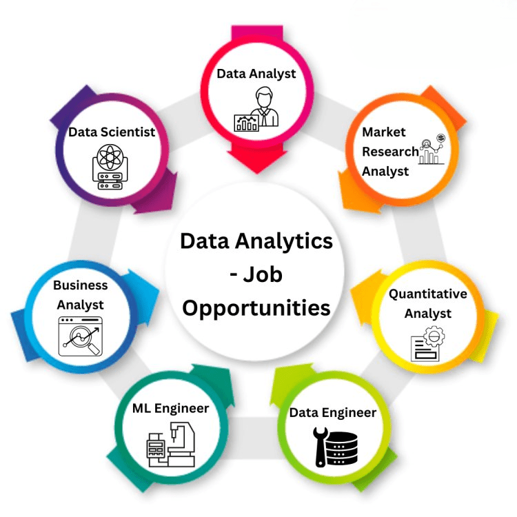Mid-Level Data Analyst Roles