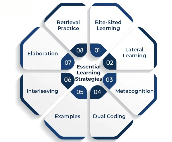 Proven Strategies for Maximizing Learning-ACTE