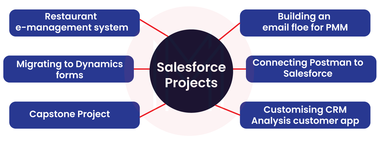 Types of Salesforce Projects