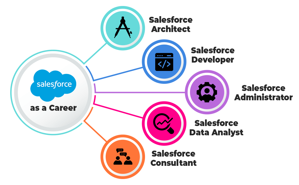 salesforce key responsibilities