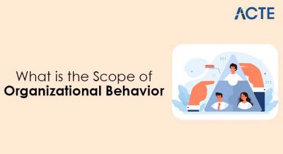 What is the Scope of Organizational Behavior Article