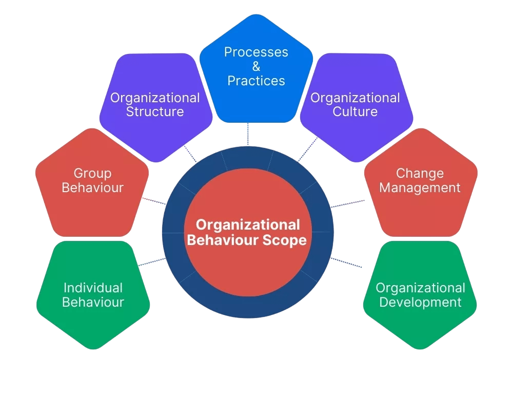What is the Scope of Organizational Behavior Article