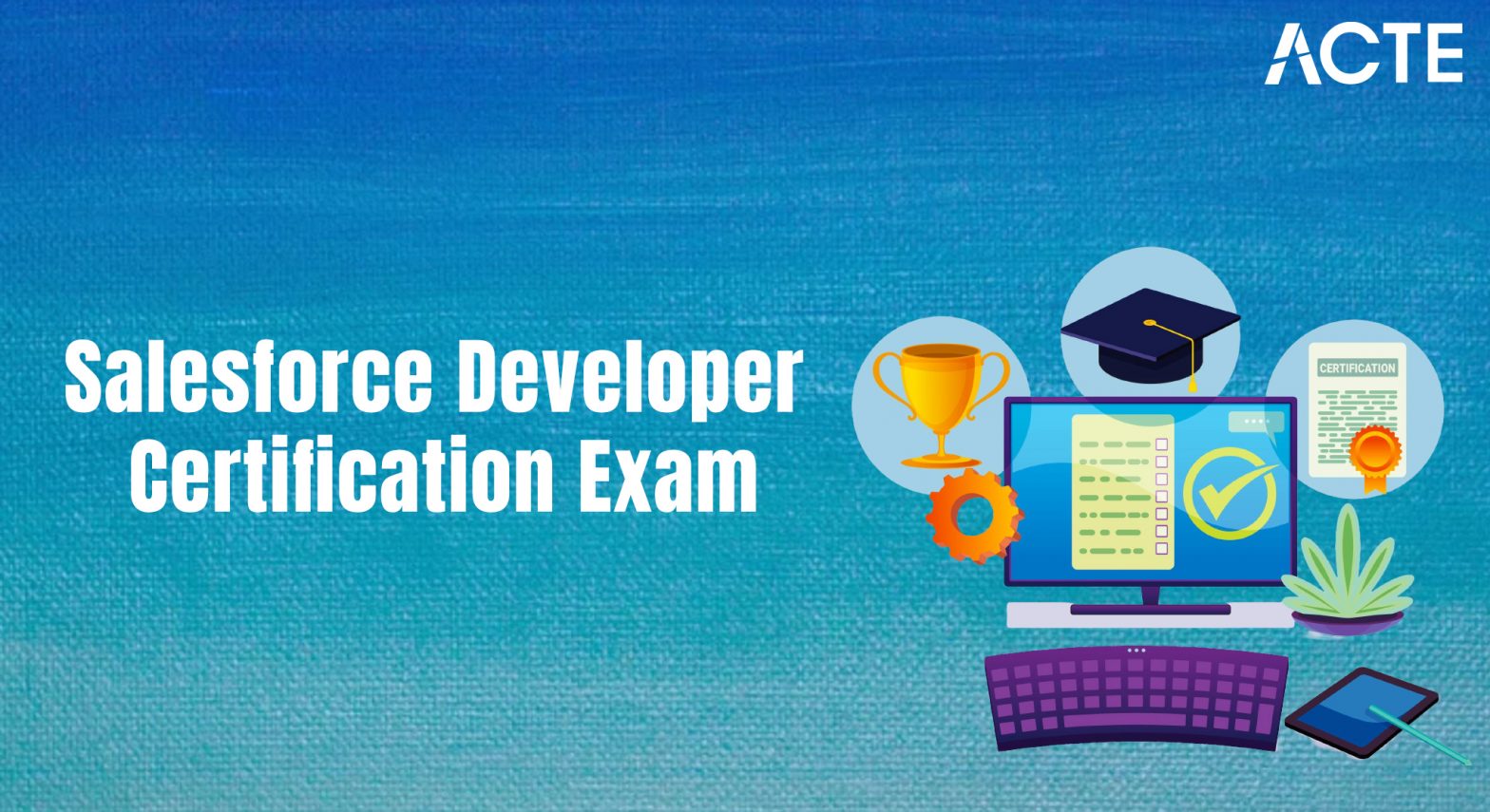Salesforce Developer Certification Exam Article