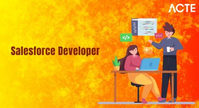What is a Salesforce Developer Articcle