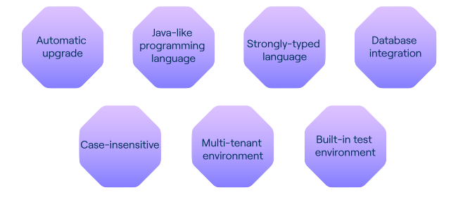 What is a Salesforce Developer