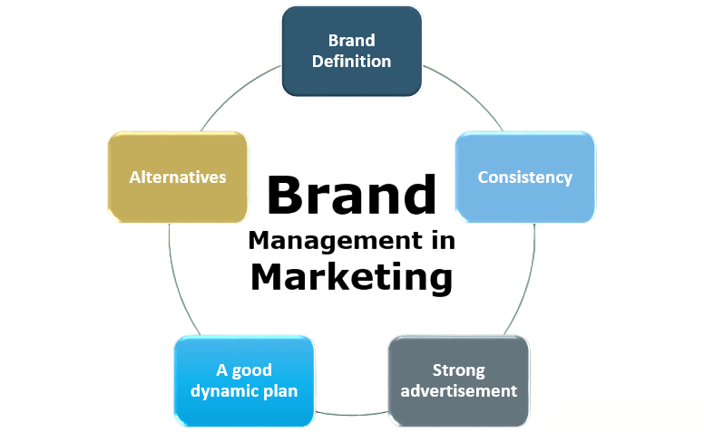Brand Management in Marketing Article