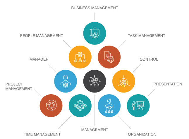 Definition of Management Article