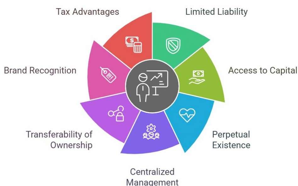 Importance for Companies and Shareholders Article