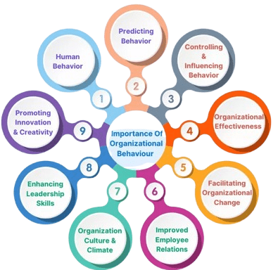 Importance in Organizations
Article