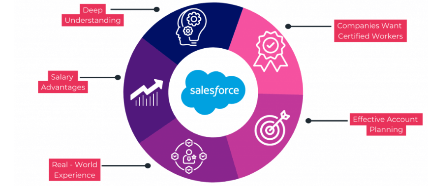 Ultimate Salesforce Admin Certification Guide