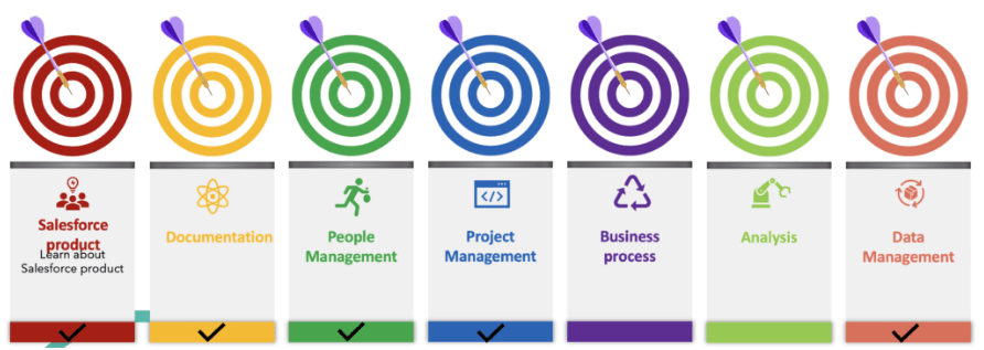 Succeed as a Salesforce Business Analyst