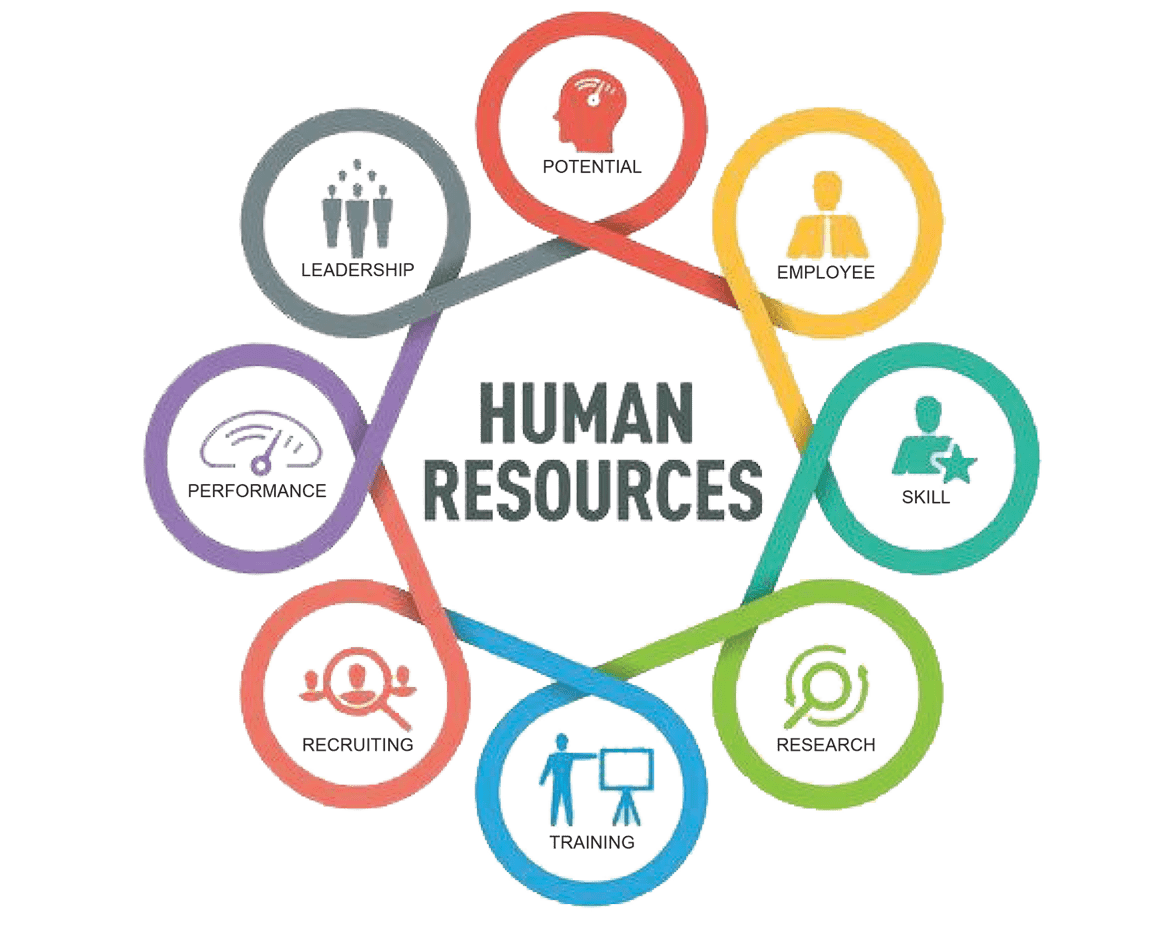 Human Resources Manager Job Description: Key Roles & Skills Article