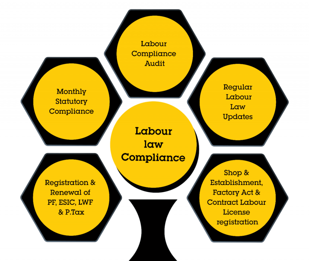Labor Laws and Compliance Article