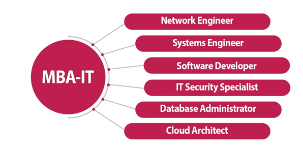 Specializations in MBA in Information Technology