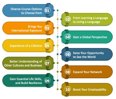 Why Choose an MBA Abroad
