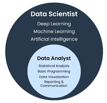 Differences Between Data Scientist vs Data Analyst