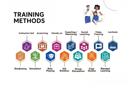 What Are The Training Process Steps & Training | Updated 2026