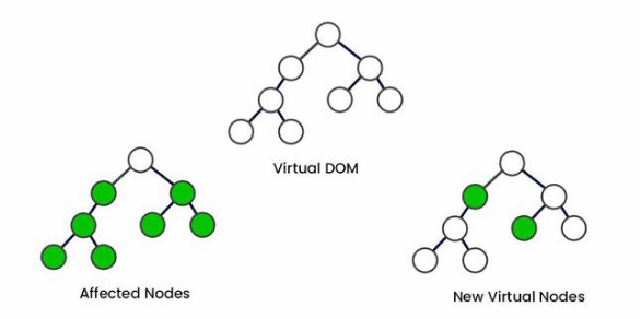 Role of the DOM in React