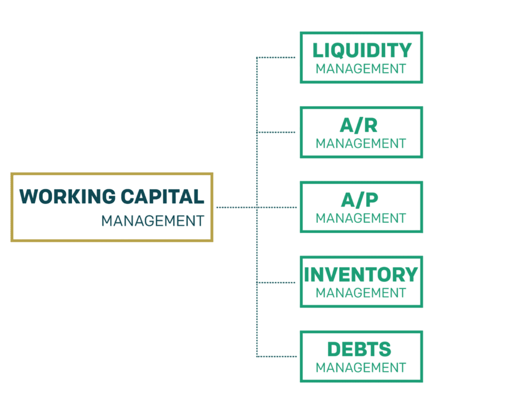 Working Capital Management Article