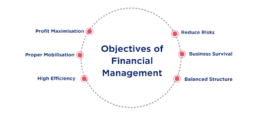 Essentials of Financial Management in Business Article