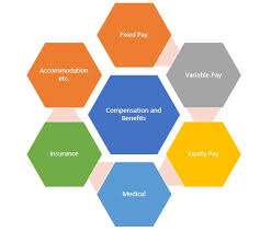 Compensation and Benefits Article