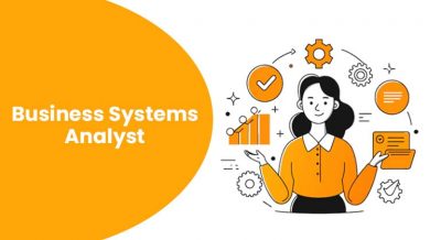 Business Systems Analyst Article