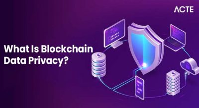 What Is Blockchain Data Privacy Article