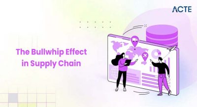 The Bullwhip Effect in Supply Chain Article