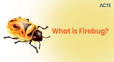 What is Firebug Article