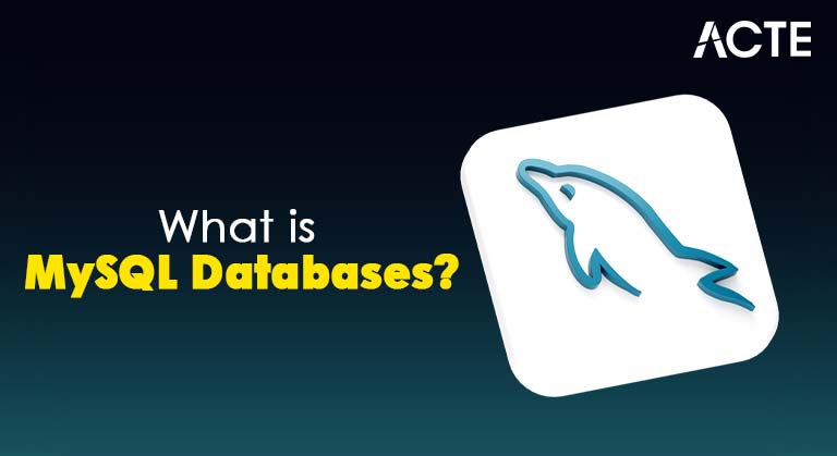 MySQL Databases Article