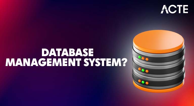 What is a Database Management System Article