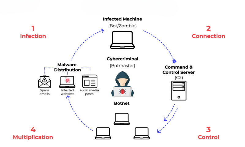 Botnets and Their Impact Article