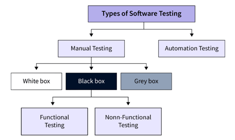 Types of Software Testing Roles Article
