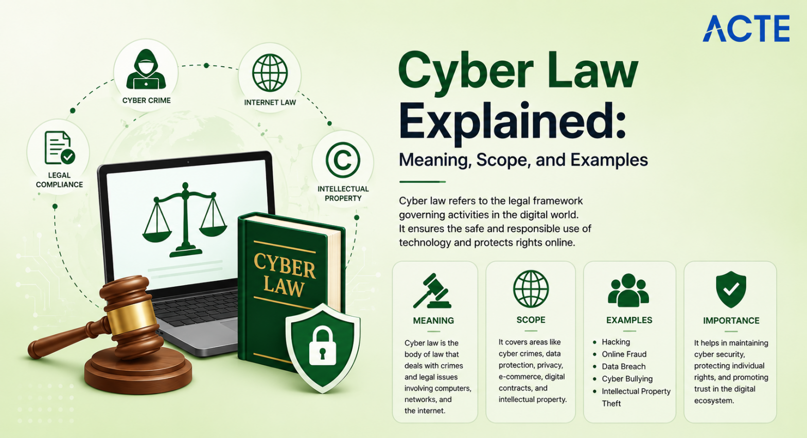 Cyber Law Article