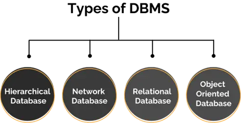 Types of Database Management System Article