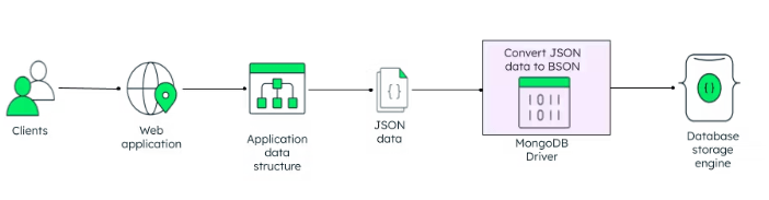 JSON Database Systems Article