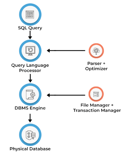 Key Categories of SQL Commands Article