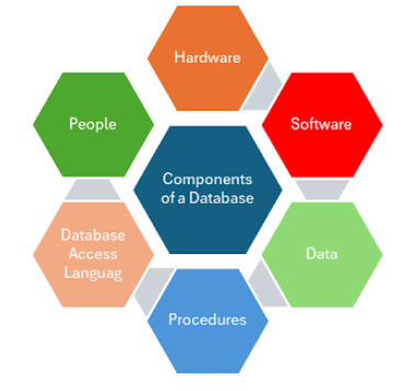 Key Components of a Database Article