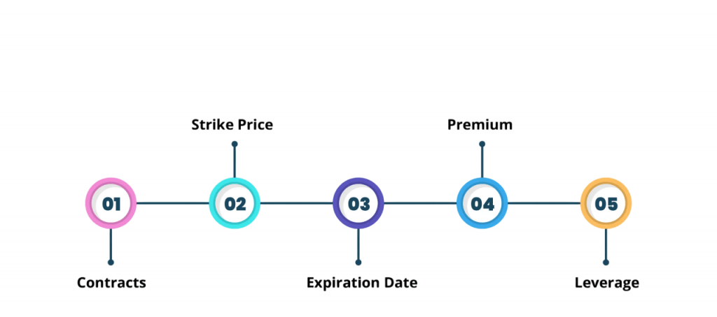 Key Concepts: Strike, Premium, Expiry Article