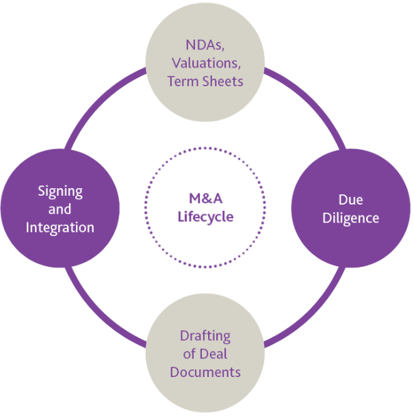 M&A Life Cycle Article