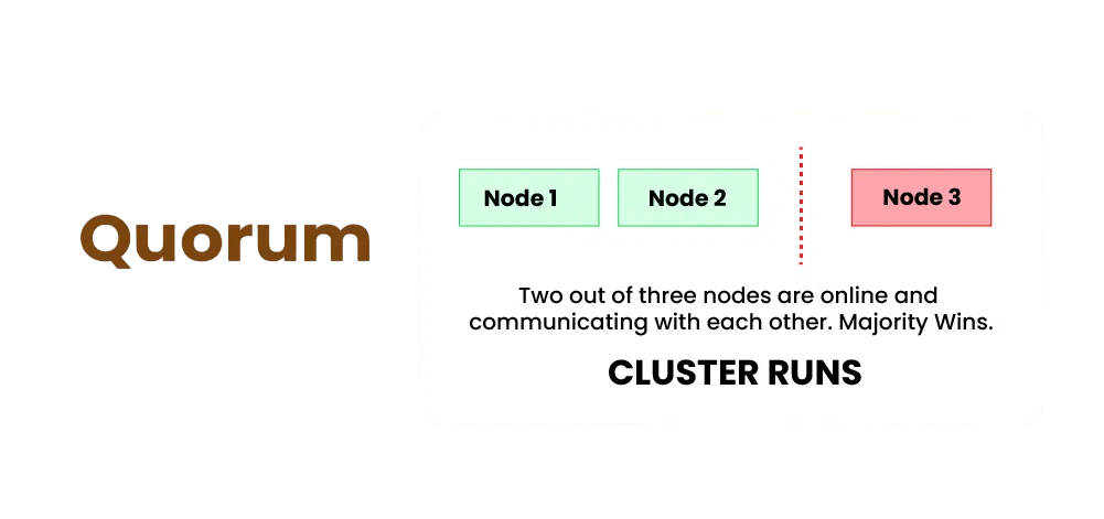 Quoram Dir Setup Image Article