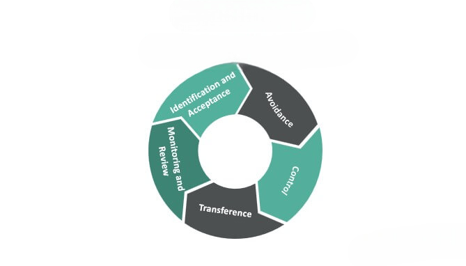 Risk Mitigation Article