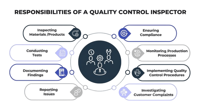 Roles and Responsibilities in QA and QC Article