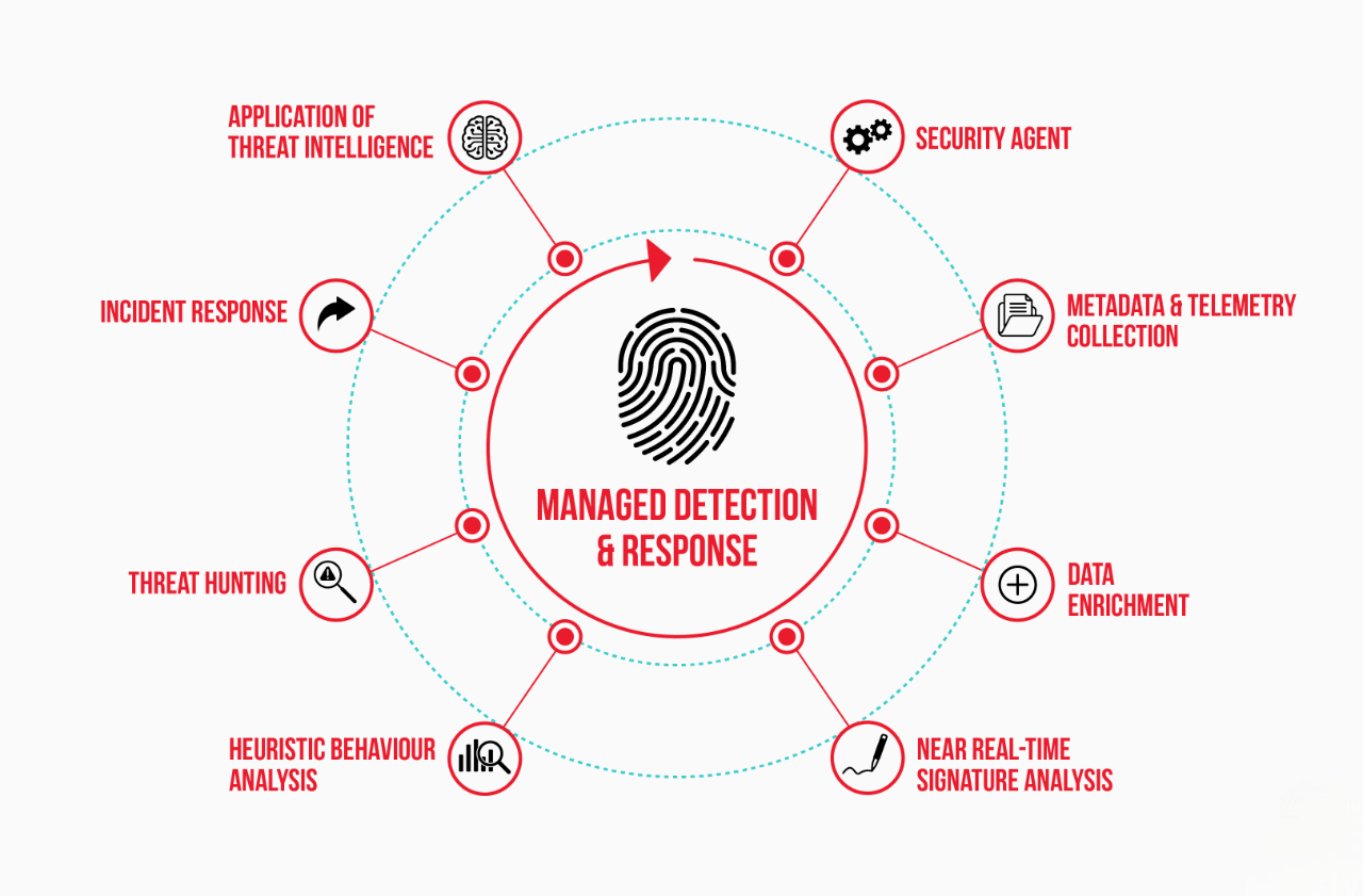 Signature-Based Detection-Article