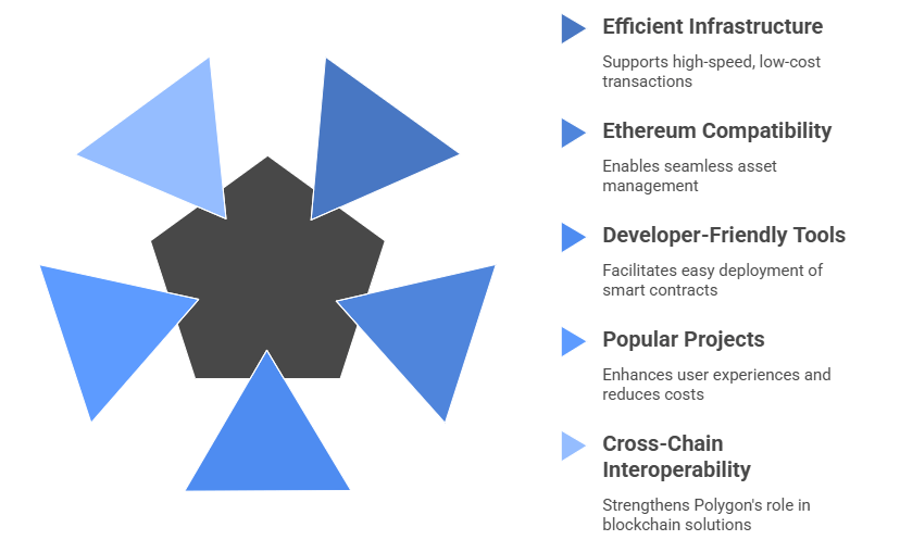 The Flourishing Polygon Ecosystem_ A Hub of Innovation and Scalability - Article