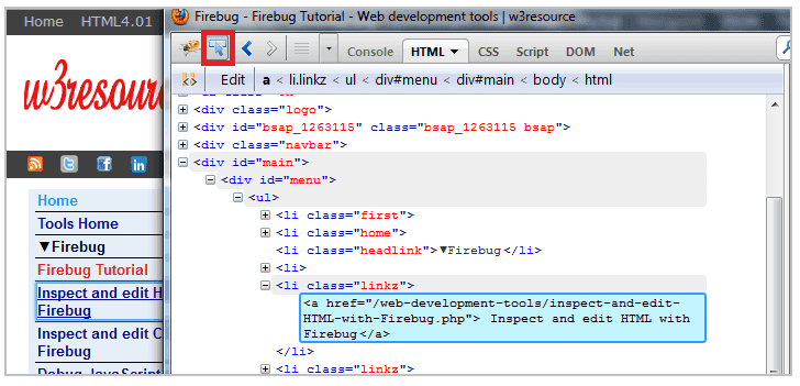 What is Firebug Article