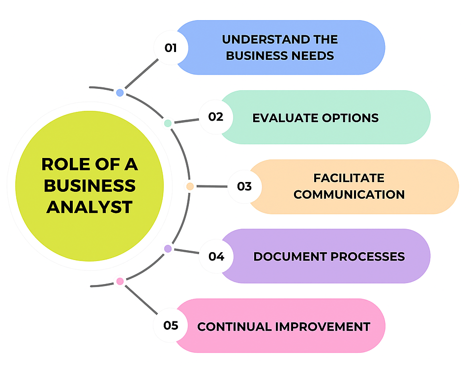 Who is a Business Analyst Article