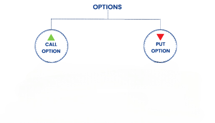 What is an Option Article