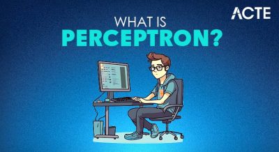 What is Perceptron Article